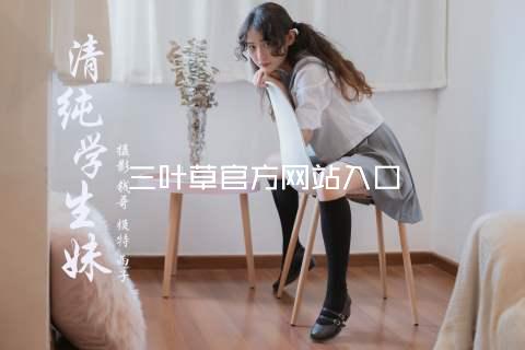 三叶草官方网站入口